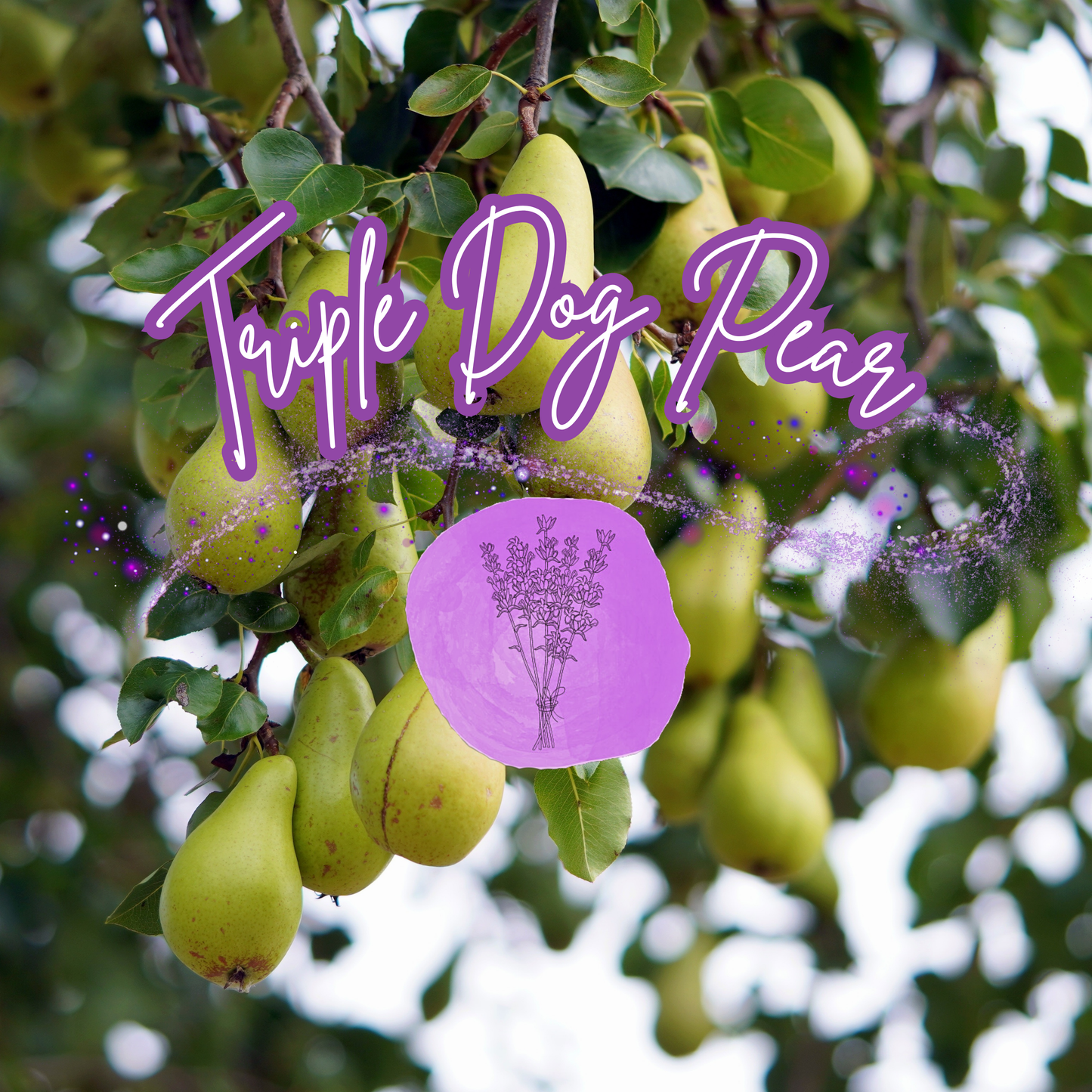Triple Dog Pear