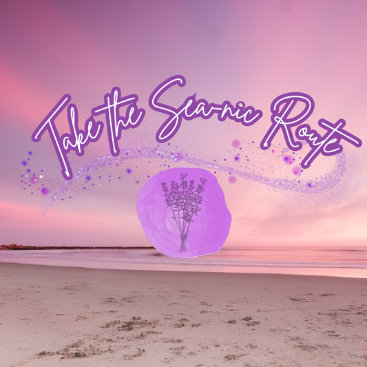 Take the Sea-nic Route